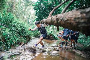 BIB: 
                            <button type="button" onclick="openModal(25375353)" class="btn btn-primary btn-sm float-right btn-popup" data-toggle="modal" data-target=".modal-high-quality">
                        <i class="fas fa-shopping-cart"></i> Add to Cart
                    </button>
                                            <button type="button" onclick="isThisMe(25375353, true)" class="btn btn-success btn-sm float-right btn-popup btn-isme hidden" data-toggle="tooltip" data-placement="bottom" title="นี่คือรูปของคุณใช่ไหม คลิกที่นี่เพื่อเอาเข้าอัลบั้ม">
                        <i class="fas fa-plus"></i> Add to album
                    </button>
                    <button type="button" onclick="isThisMe(25375353, false)" class="btn btn-warning btn-sm float-right btn-popup btn-isnotme hidden">
                        <i class="fas fa-ban"></i> Remove from album
                    </button>